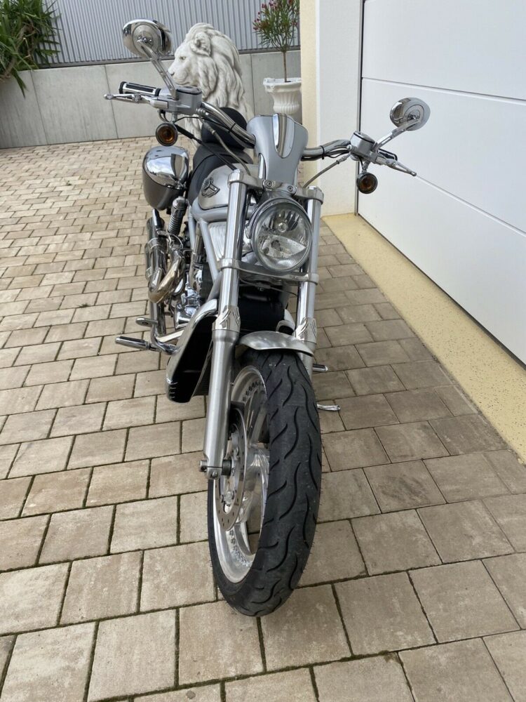 2003 Harley Davidson VRSCA VROD Klappe Koffer Sissyb 100th Anniversary - Image 7