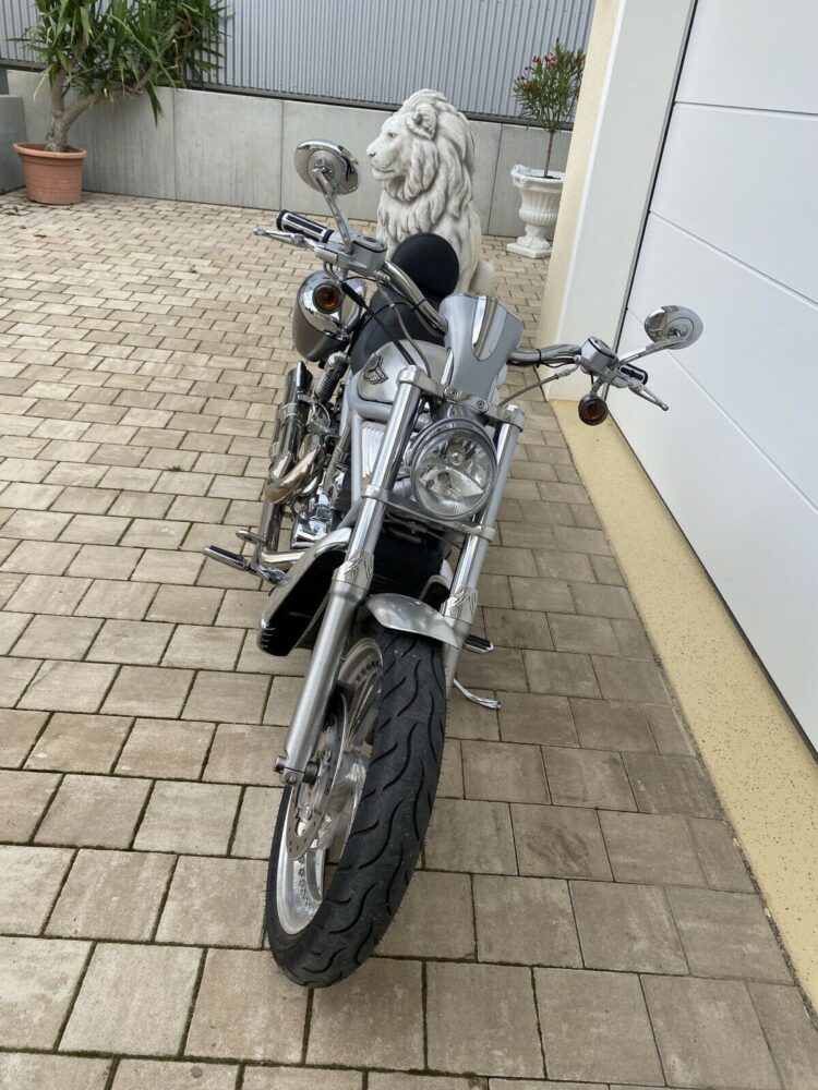 2003 Harley Davidson VRSCA VROD Klappe Koffer Sissyb 100th Anniversary - Image 6